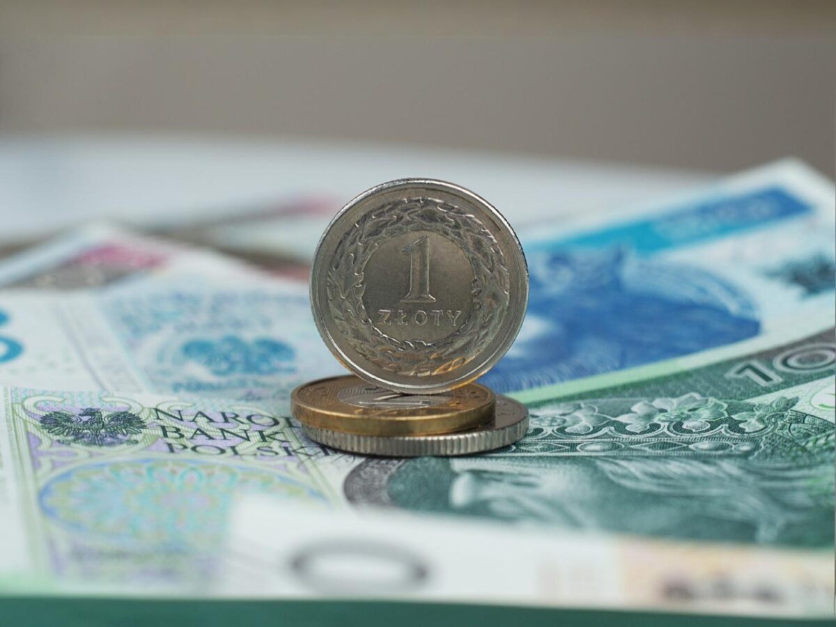 Polska złotówka